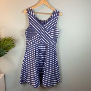 Vineyard Vine Blue and White Striped Fit and Flare Dress
